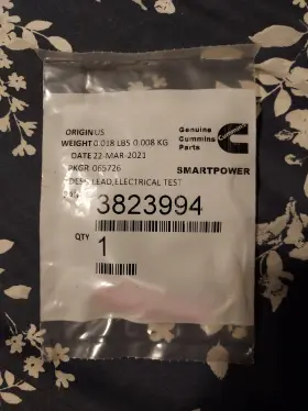 3823994 Cummins Electrical Lead Test