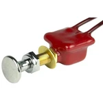 Bep Push-pull Switch 10A Spst Off-on With Wire Leads #1001306. Fixed Price $48.33.